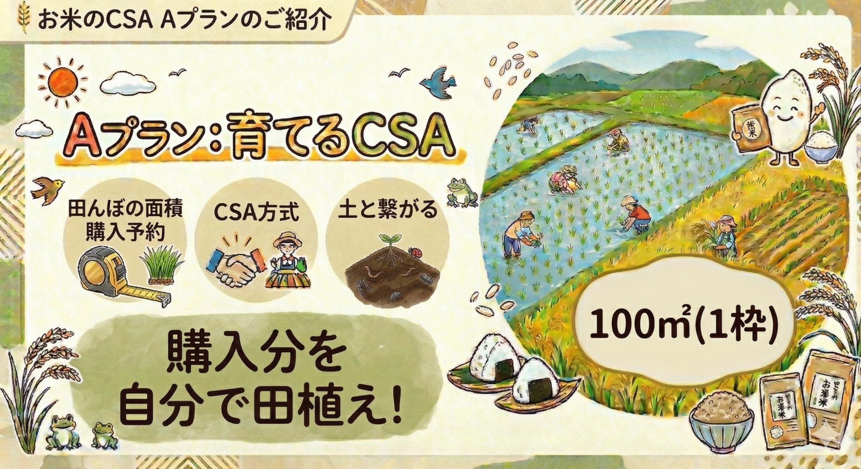 Aプラン: 育てるCSA(田んぼ面積購入方式)