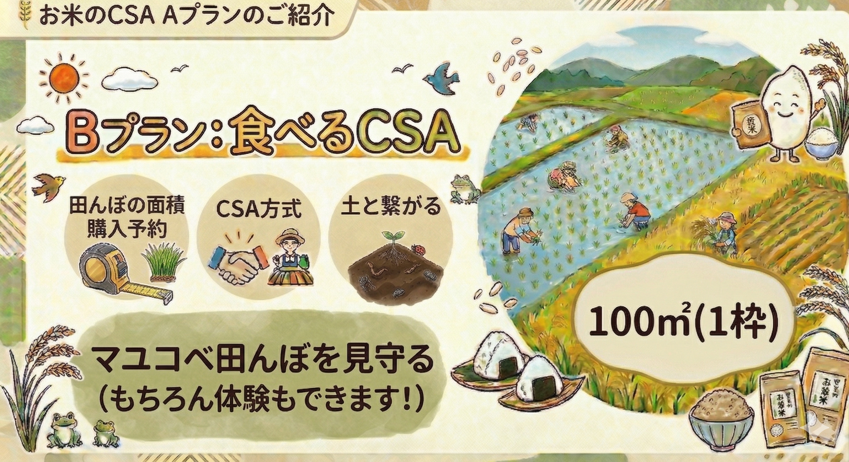 Bプラン: 食べるCSA(田んぼ面積購入方式)