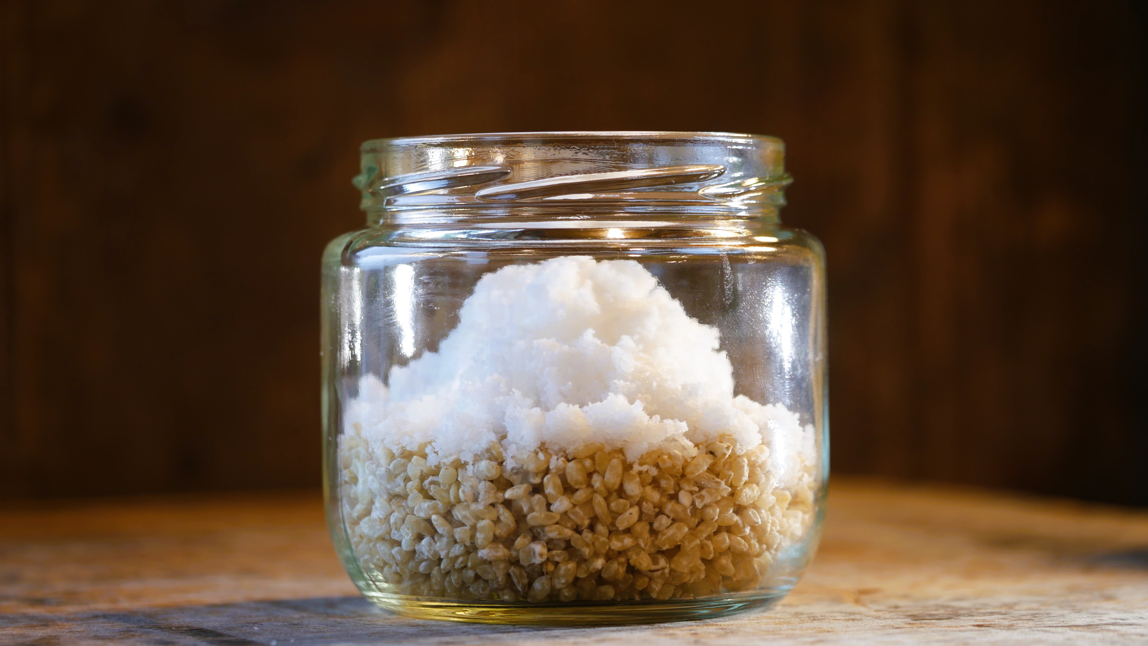 【500g】白米麹と玄米麹のセット ～在来種の「神力」を贅沢に使用した、生きている生麹～ 使いやすい250gパック