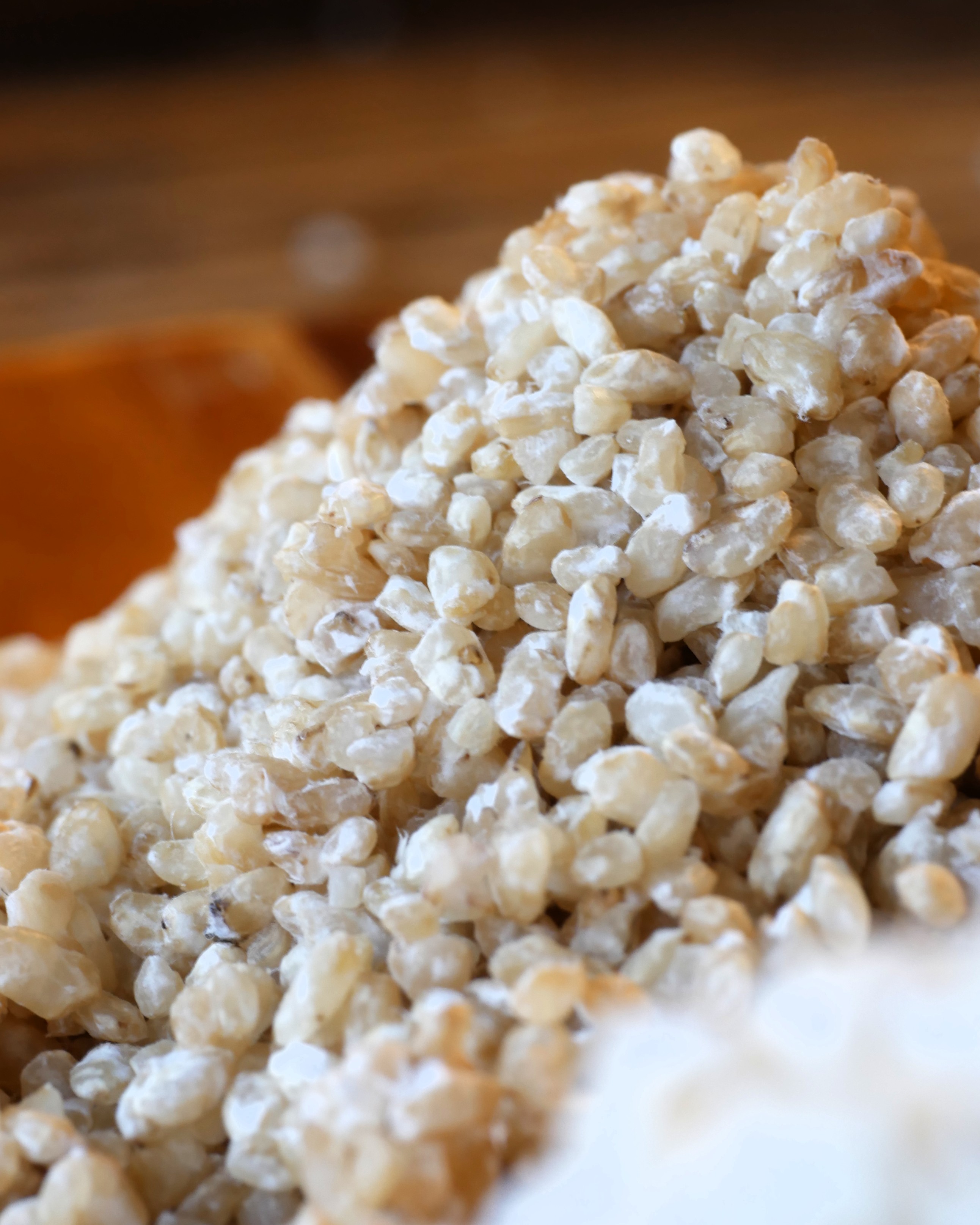 【500g】玄米麹～在来種の「神力」を贅沢に使用した、生きている生麹～ 使いやすい250gパック